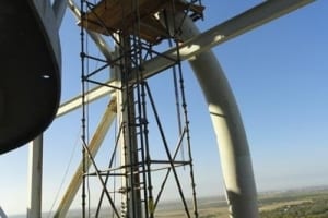 scaffold-proj-24